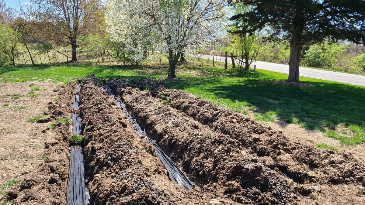 Freshly installed lateral drain field trenches